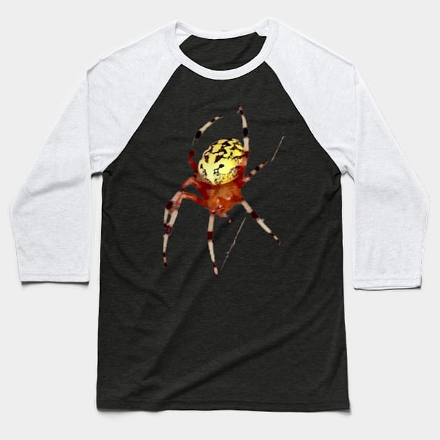 Fancy Spider Baseball T-Shirt by Green Bird Farms